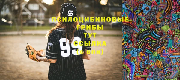 прущий лед Арсеньев
