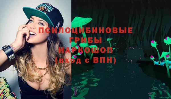 прущий лед Арсеньев